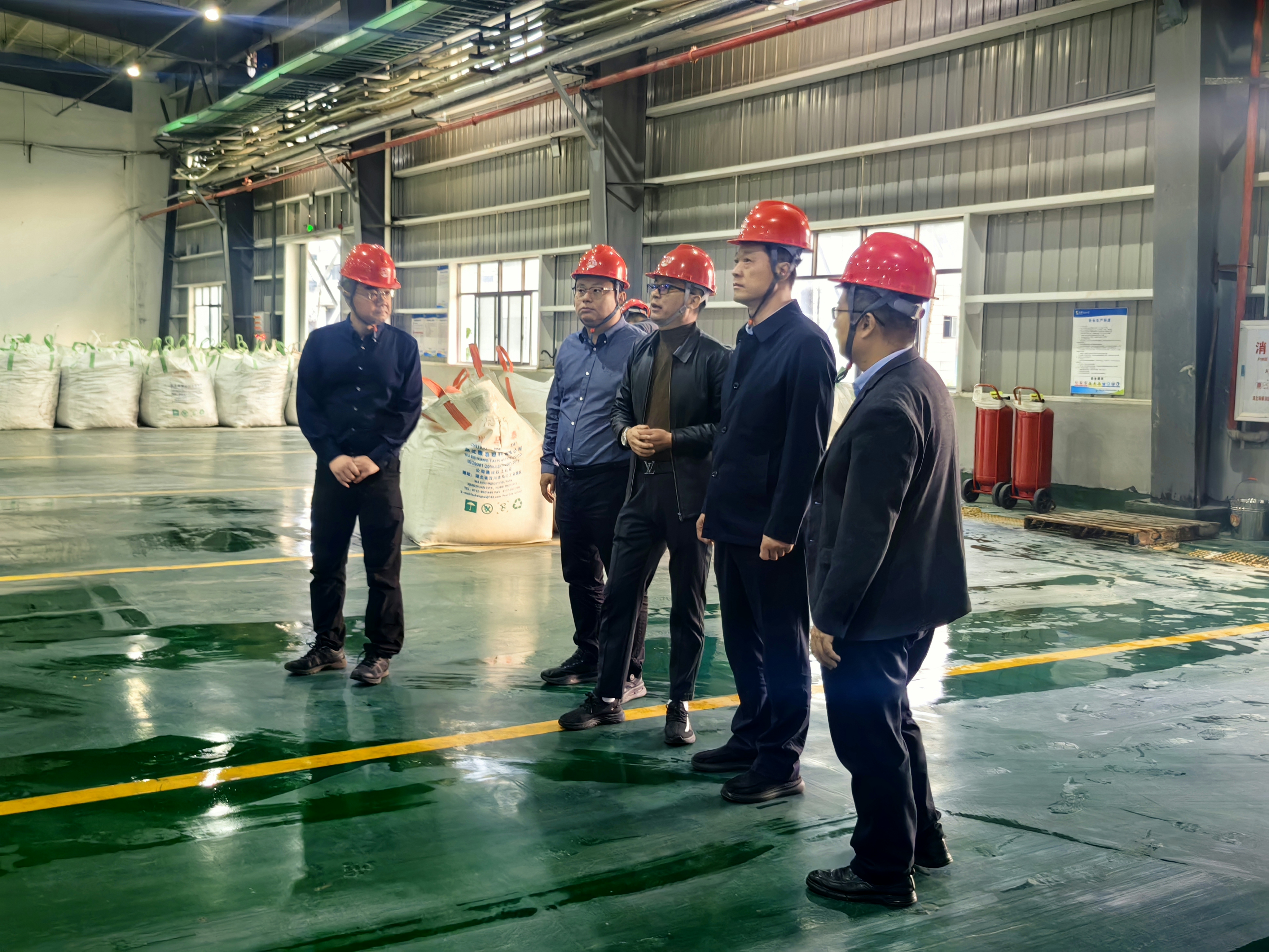 集團黨委書記、董事長王利到湖北景目環?？萍加邢薰菊{研指導工作